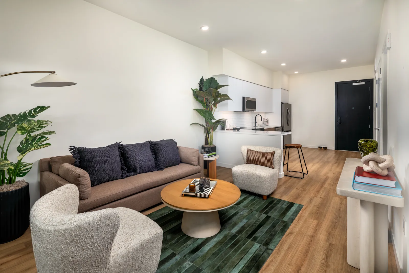Living Room / Kitchen